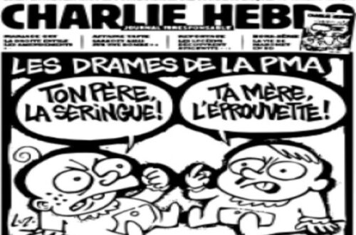 Article : Charlie Hebdo : la France rappelle au monde que l’union fait la force
