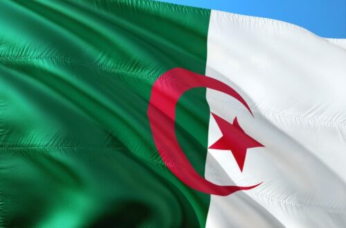 Article : Algérie : Sauver Ghardaïa